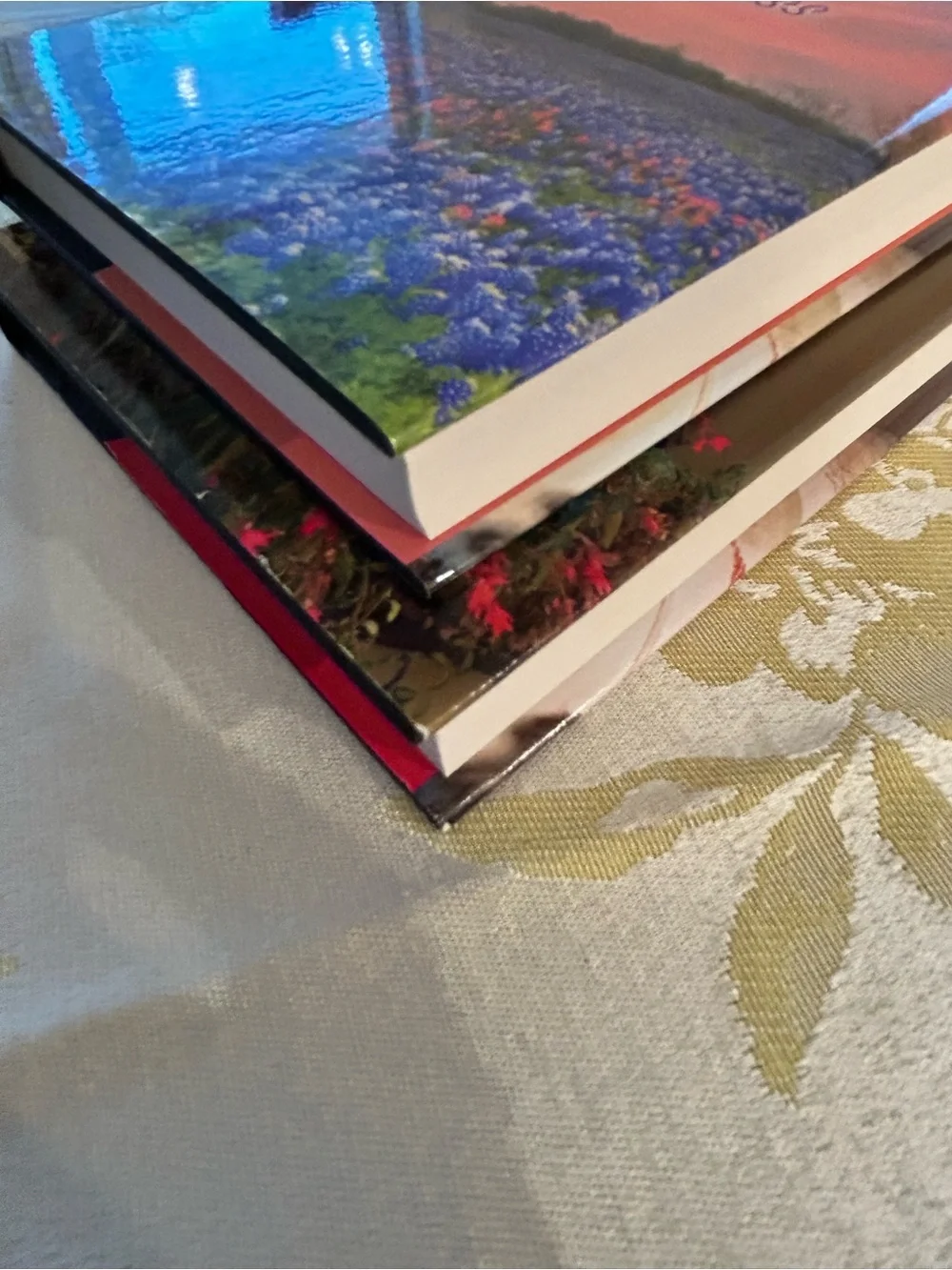Fern Michaels Book Bundle